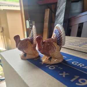 Salt and pepper shakers